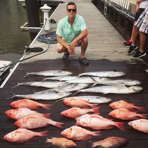 Meet your Posher, Dakota